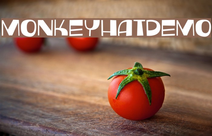 MonkeyHatDEMO Example 1