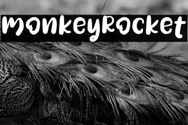 MonkeyRocket Example 2