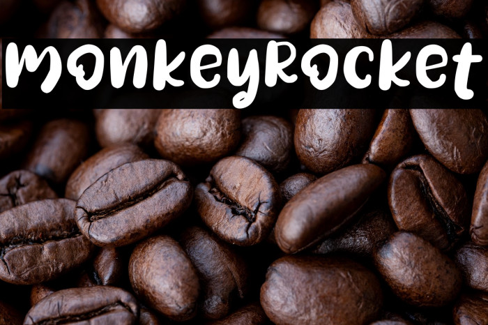 MonkeyRocket Example 3