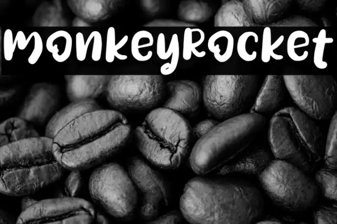 MonkeyRocket Example 3