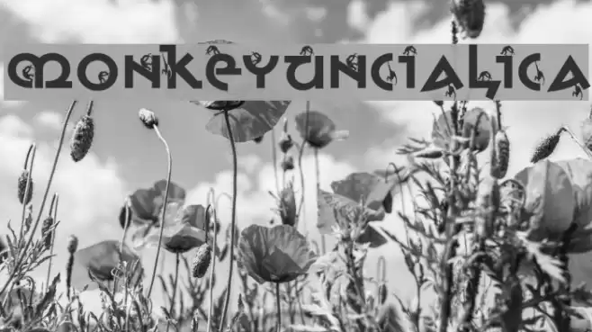 MonkeyUncialica Font examples