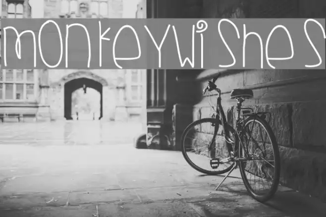 MonkeyWishes Example 1