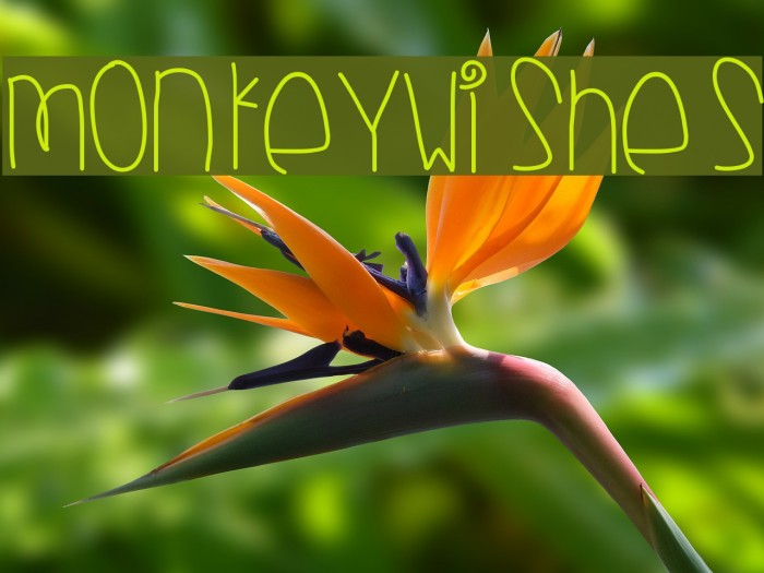 MonkeyWishes Font examples