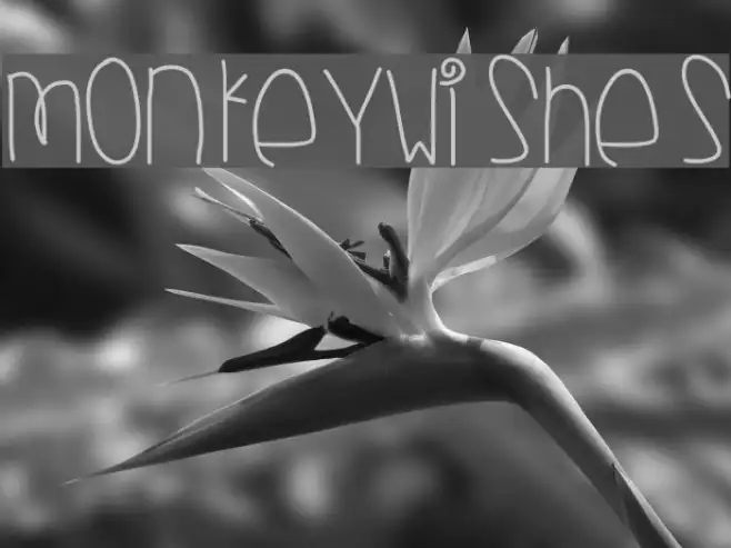 MonkeyWishes Example 2