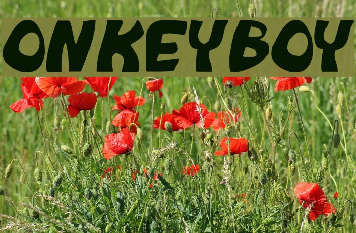 Monkeyboy Font examples