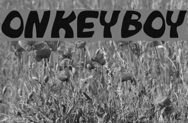 Monkeyboy Font examples