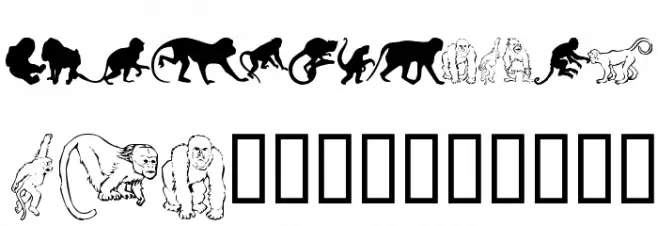 MonkeysDC Primates خط أحرف كبيرة