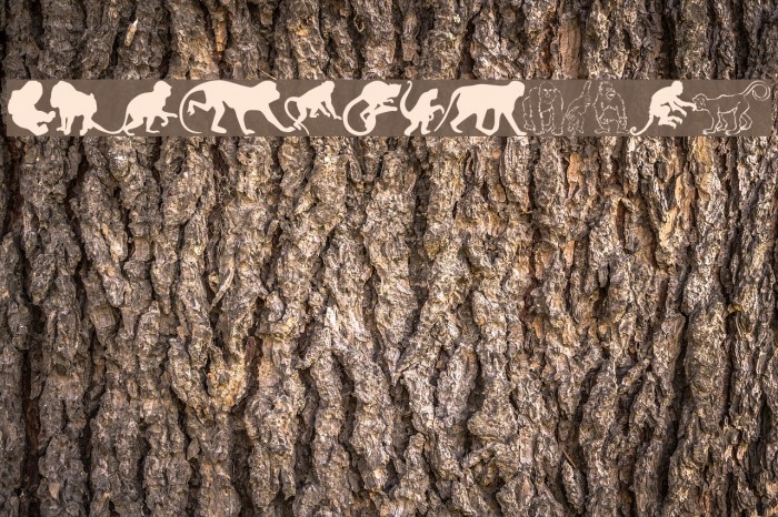 MonkeysDC Primates Font examples