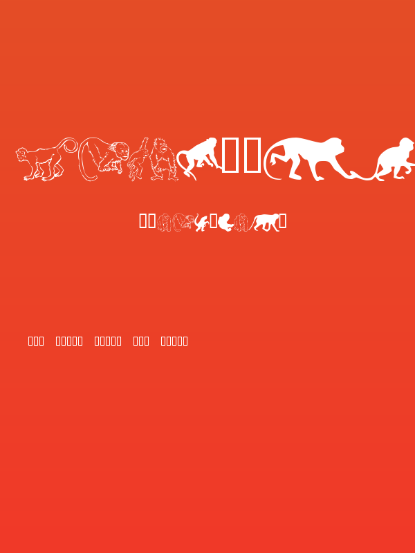 MonkeysDC Primates Poster