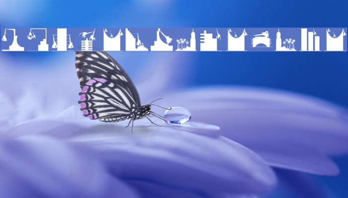 MonkeysTheatre Example 3