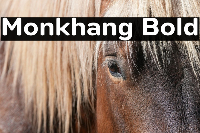 Monkhang Bold Example 1