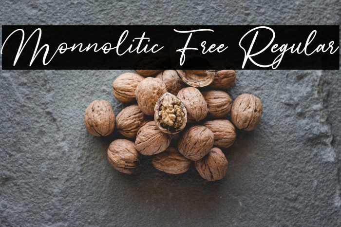 Monnolitic Free Regular Example 2