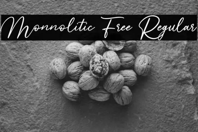 Monnolitic Free Regular Example 2