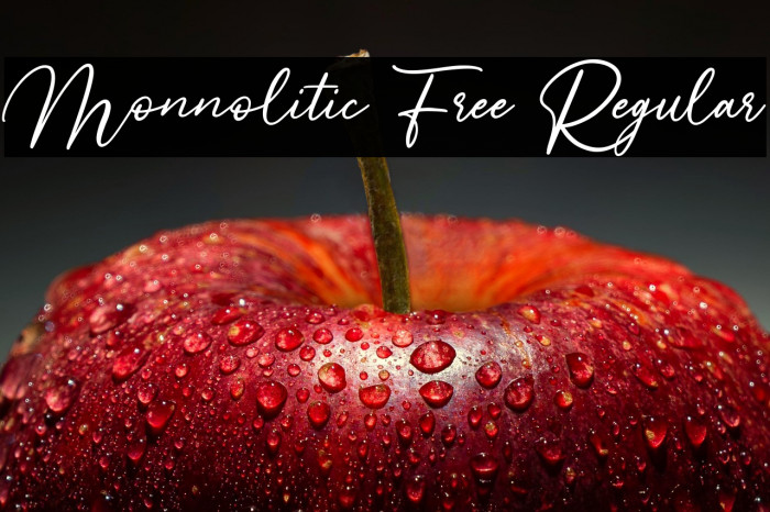 Monnolitic Free Regular Example 3