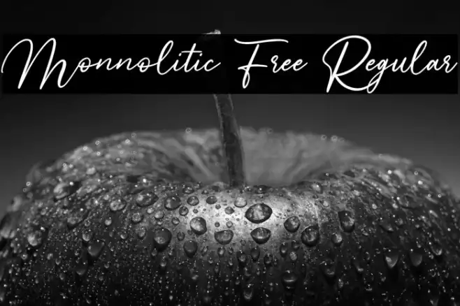 Monnolitic Free Regular Example 3