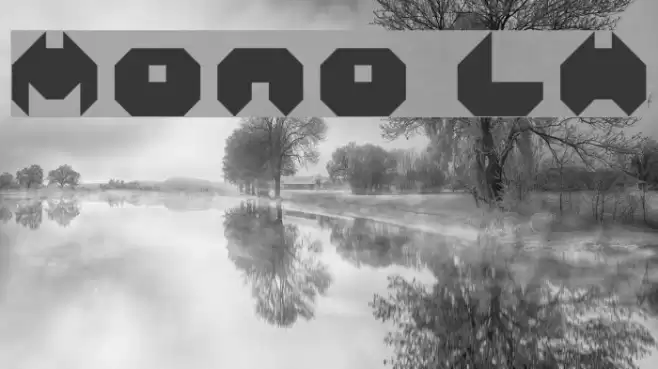 Mono LH Font examples