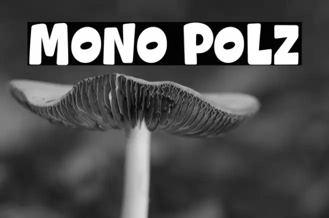 Mono Polz Font examples