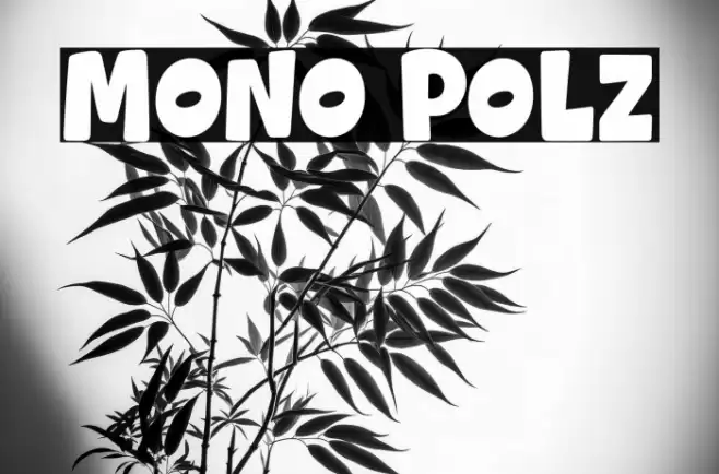 Mono Polz Font examples