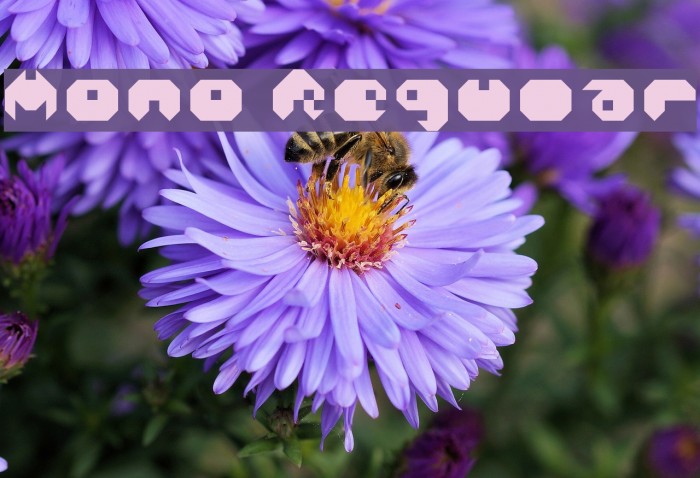 Mono Regular Example 3