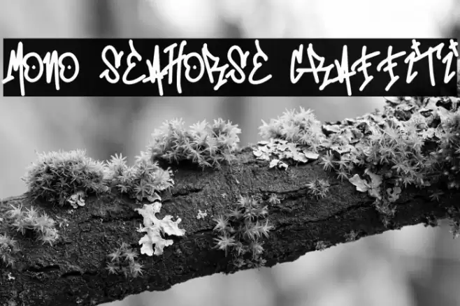 Mono Seahorse Graffiti Font examples