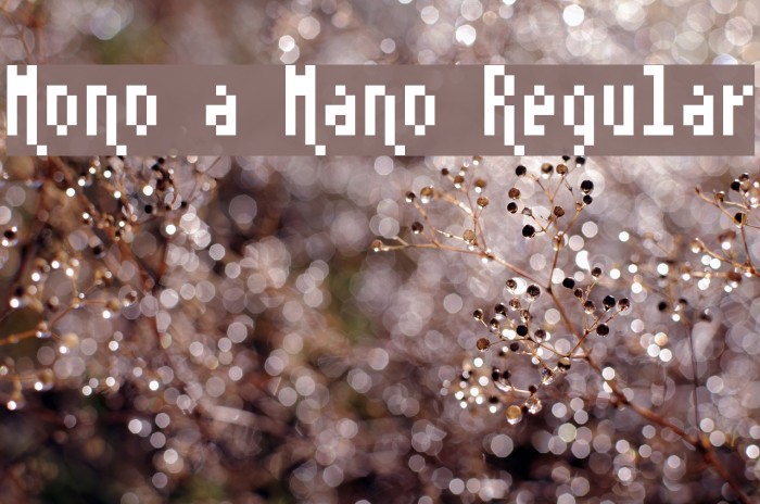 Mono a Mano Regular Font examples