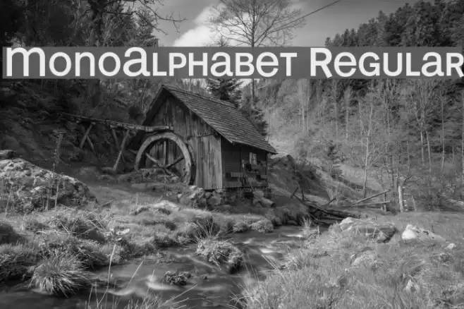MonoAlphabet Regular Font examples
