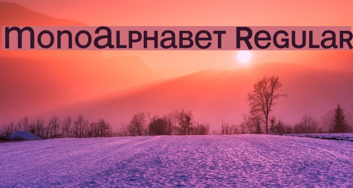 MonoAlphabet Regular Font examples