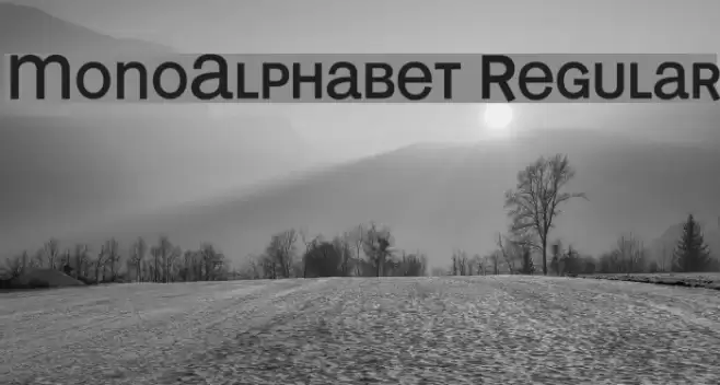 MonoAlphabet Regular Font examples