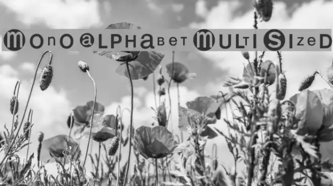 MonoAlphabetMultiSized Font examples