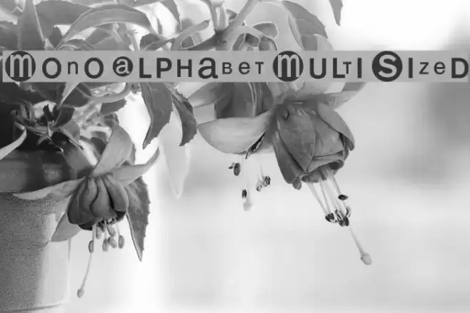 MonoAlphabetMultiSized Font examples