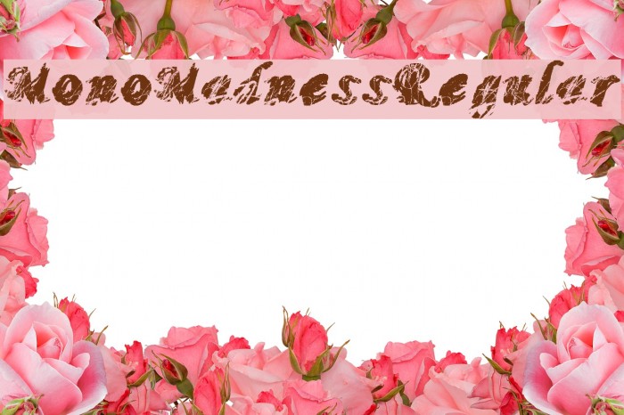 MonoMadnessRegular Font examples
