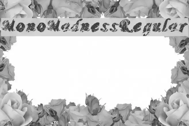 MonoMadnessRegular Font examples