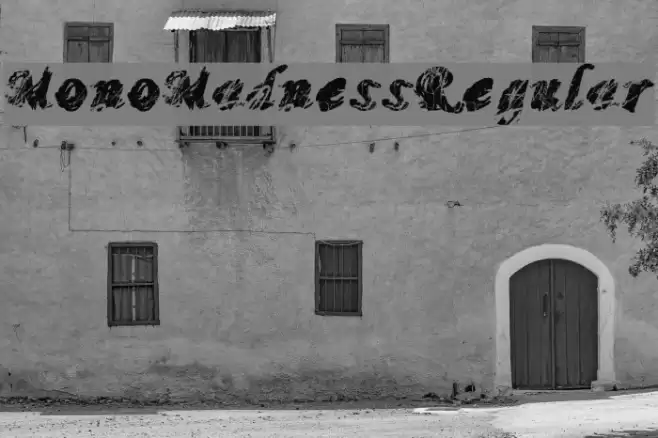 MonoMadnessRegular Font examples
