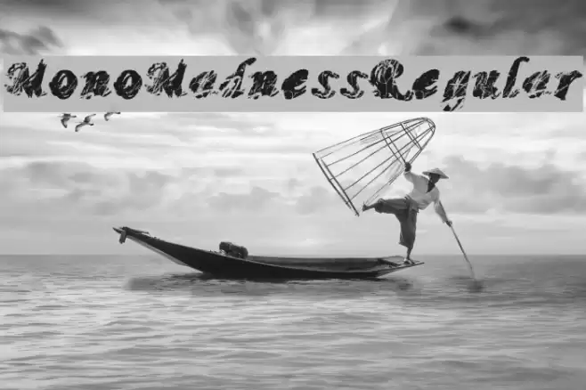 MonoMadnessRegular Font examples