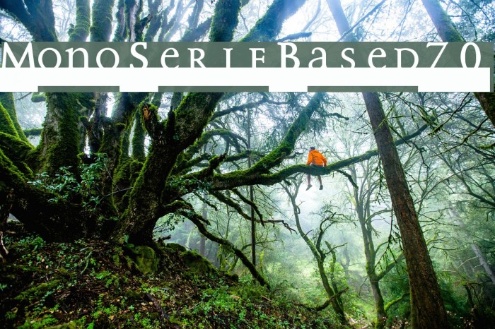 MonoSerifBased70 Font examples