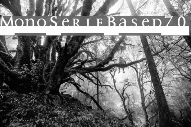 MonoSerifBased70 Polices examples