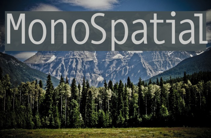 MonoSpatial Font examples
