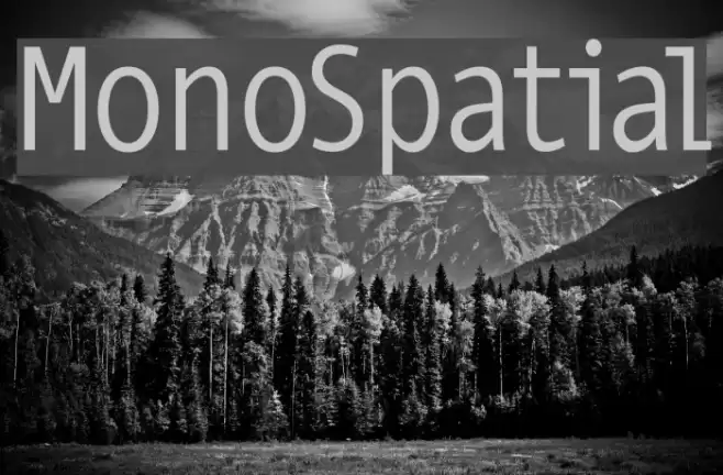MonoSpatial Шрифта examples