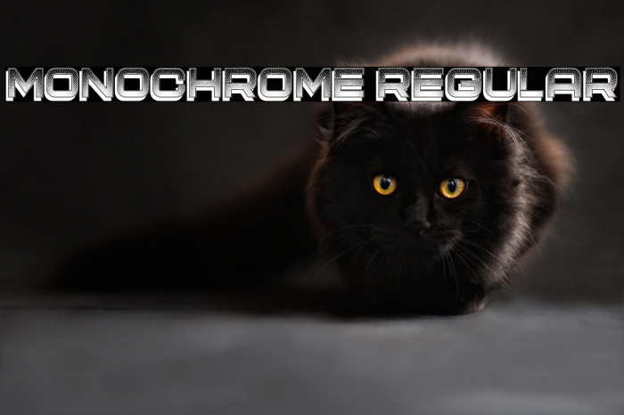 Monochrome Regular Example 2