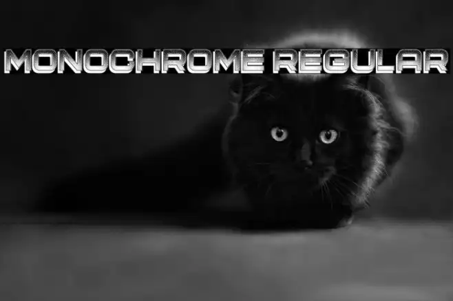 Monochrome Regular Example 2