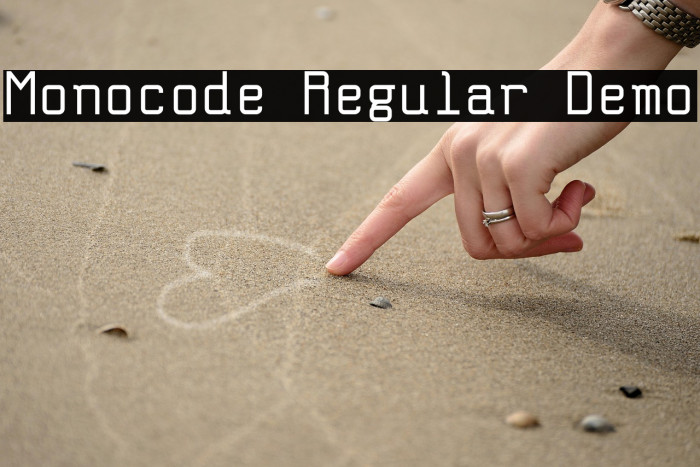 Monocode Regular Demo Example 2