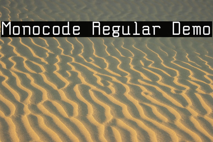 Monocode Regular Demo Example 3