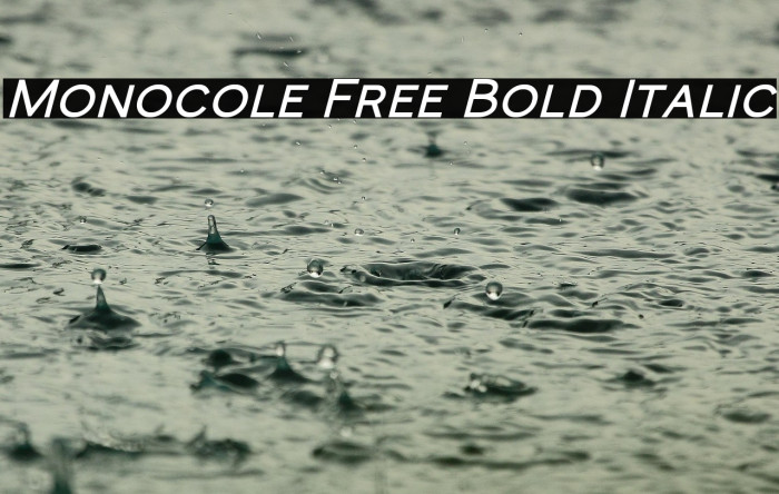 Monocole Free Bold Italic Example 1