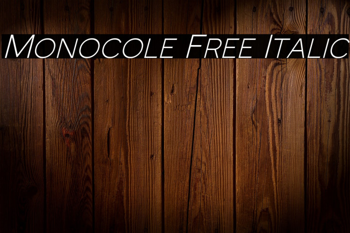 Monocole Free Italic Example 2