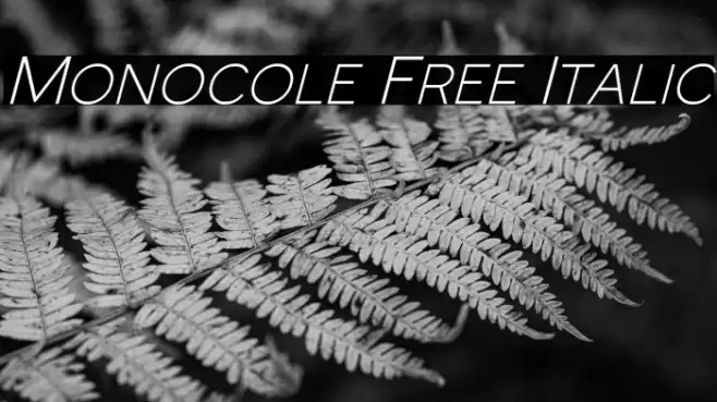 Monocole Free Italic Font examples