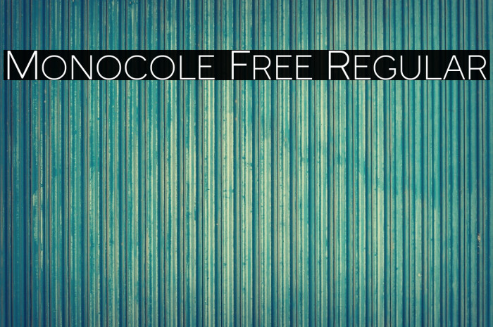 Monocole Free Regular Example 1