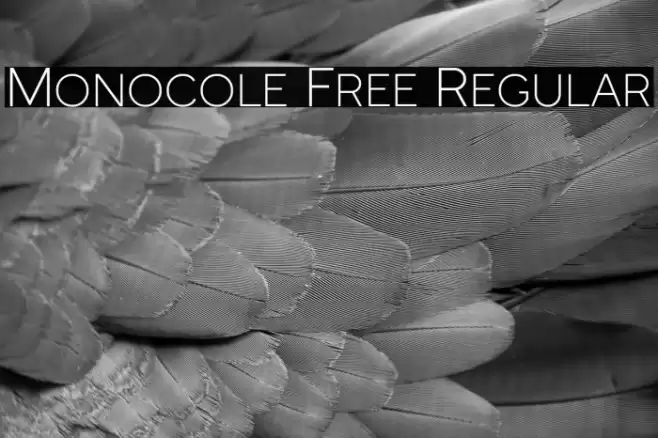 Monocole Free Regular Font examples