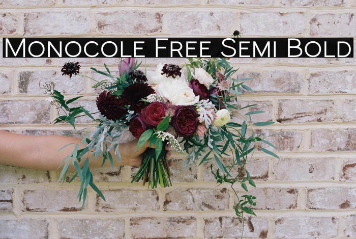 Monocole Free Semi Bold Example 1