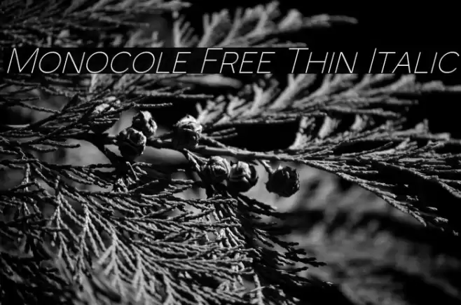 Monocole Free Thin Italic Font examples