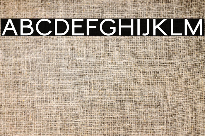 MonocoleFree-Bold Example 1